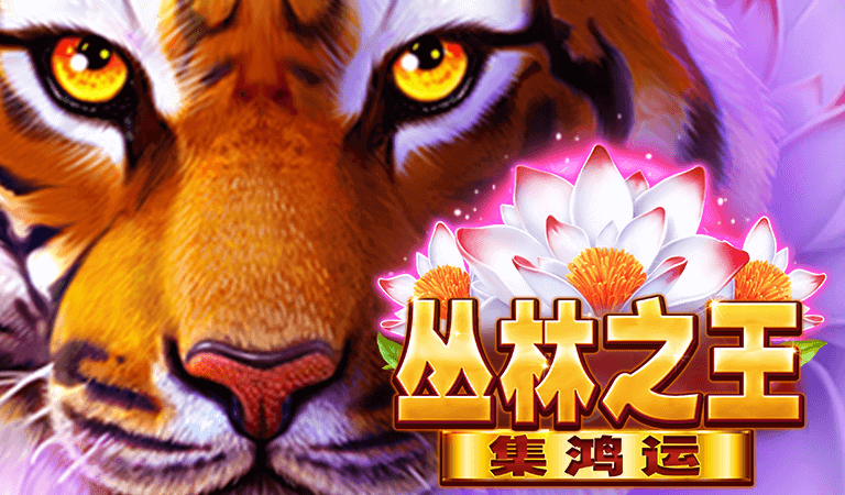 【BNG電子遊戲介紹】探索BNG最熱門的五款老虎機遊戲! 3 BNG電子老虎機遊戲推薦-叢林之王